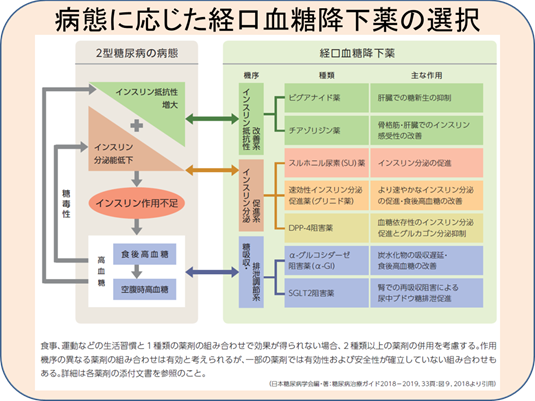 病態に応じた経口血糖降下薬の選択